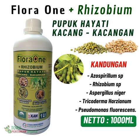 Pupuk Floraone Cair Kacang Panjang Yang Bagus Fungisida Hayati