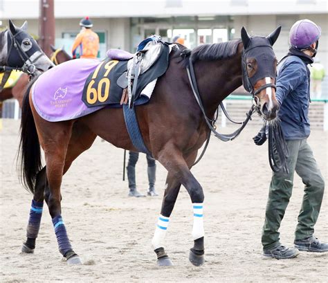 日曜メインレースの注目激走馬中山11rフェアリーステークス・g3 Umatoku 馬トク