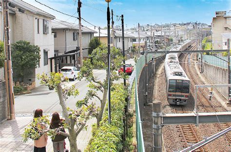 京田辺市｜市町村紹介｜今日と明日｜京都府公式移住・定住情報サイト：あなたのしたい暮らしを京都で実現しませんか？京都移住コンシェルジュがご案内します。