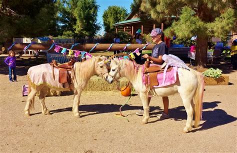 Parties At Charming Pony Ranch