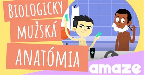 Slovakia Assigned Sex At Birth Male Amaze