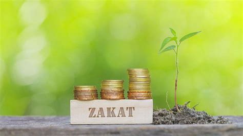 What Is The Difference Between Zakat And Sadaqah Quran O Sunnat