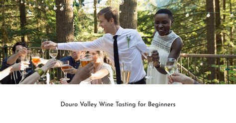 Douro Valley Wine Tasting for Beginners - DWT