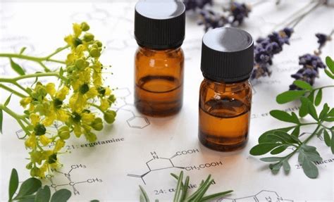 Top 5 Essential Oils For Seasonal Allergy Relief Fast