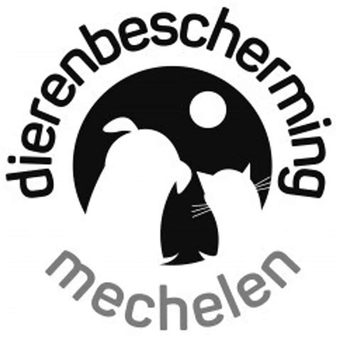 Dierenbescherming Mechelen Hondenasiel in België