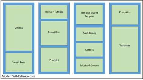 My Community Garden Layout for Summer Success | Modern Self-Reliance