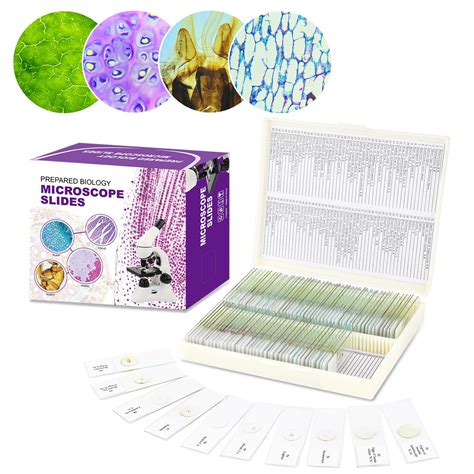 Snapklik.com : 100 Pcs Microscope Slides