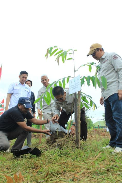 Antisipasi Perubahan Iklim KLHK Ajak Masyarakat Tanam Pohon Fakta Kalbar