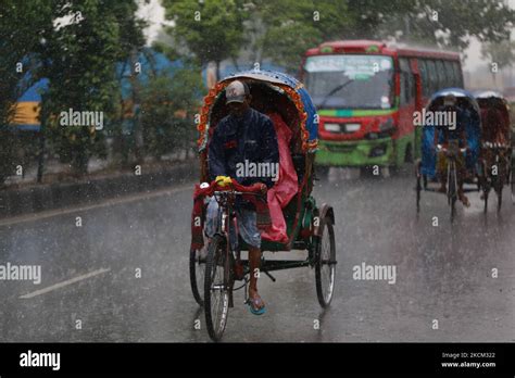 Rickshaw pullers make their way during rainfall in Dhaka, Bangladesh on ...