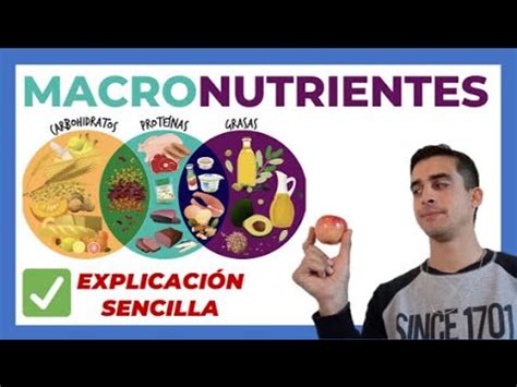 Qu Son Los Macronutrientes Explicado Carbohidratos Proteinas Y