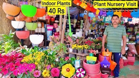 Plant Nursery Visit Indoor Plant Rs Pots For Plants Sanjay