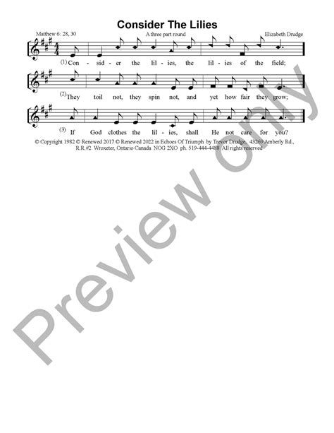 Lyrics For Consider The Lilies 3