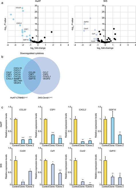 Downregulation Of Cytokines In Human And Mouse Hcc Cells With Exon 3 Download Scientific