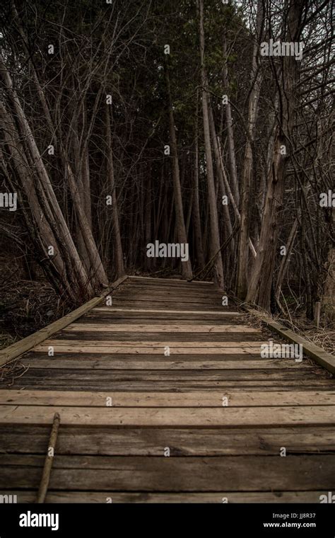 Wooden Path Dark Area Stock Photo Alamy