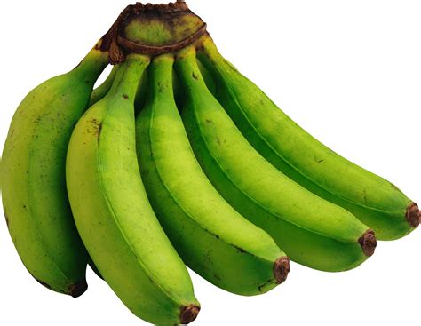 PNG موز سبز Gree Banana PNG دانلود رایگان