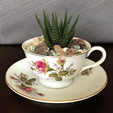 Vintage Floral Teacup Turned Into A Succulent Garden