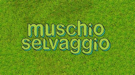 Muschio Selvaggio Sigla Animata YouTube