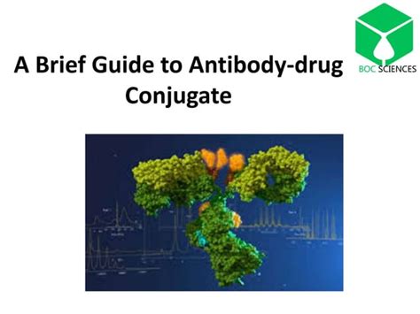 A Brief Guide To Antibody Drug Conjugate Ppt