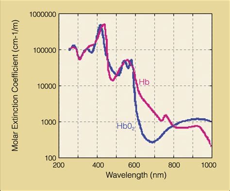 The Absorption Spectra Of The Oxygenated And Deoxygenated Hemoglobin