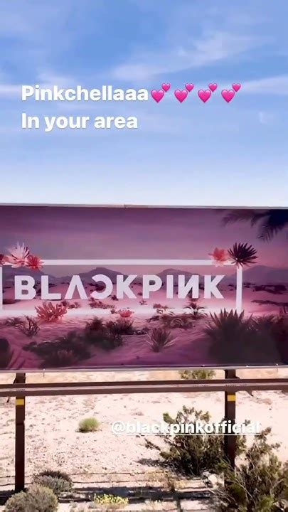 Pinkchella 💖💞💕💝💘 Blackpink Youtube