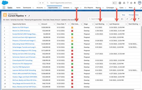 Analyzed Opportunity Fields Inside Salesforce Salesdirector Ai Inc