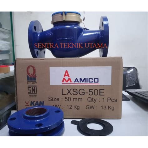 Jual AMICO Water Meter LXSG 50E 50 Mm 2 Inch Jakarta Pusat