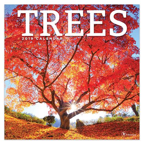 Amazon 2019 Trees Wall Calendar 9781683755623 TF Publishing