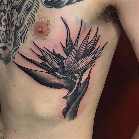 Birds Of Paradise Plant Tattoo