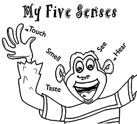 Five Senses Coloring Pages - Coloring Home