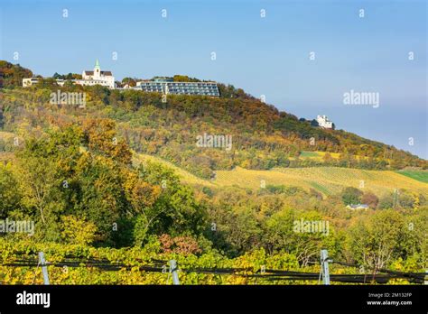 Wien Weinberg Berg Kahlenberg Mit Kirche Und Berg Leopoldsberg Mit