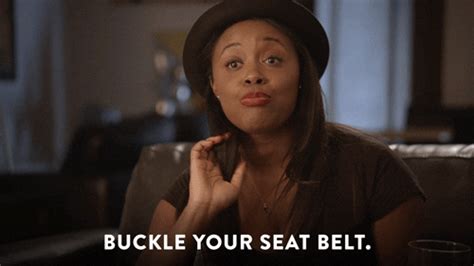 Pet Seat Belt S Get The Best  On Giphy