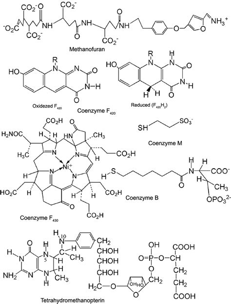 − Pathway Of Methanogenesis From H 2 Co 2 And Methanol F 420 H 2 Download Scientific