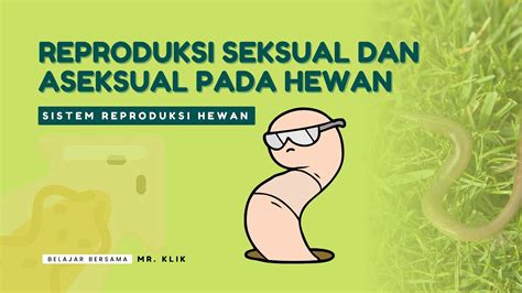 SISTEM REPRODUKSI SEKSUAL DAN ASEKSUAL HEWAN YouTube