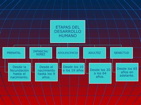 Etapas Del Desarrollo Humano Ppt