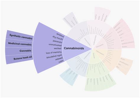 Drug Wheel Segment, HD Png Download - kindpng