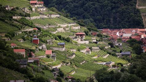 Po I Primi P N La De Euro Dac Vrei S I Cumperi O Cas N