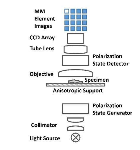 Principle Of An Anisotropic Contrast Optical Microscope In Transmission