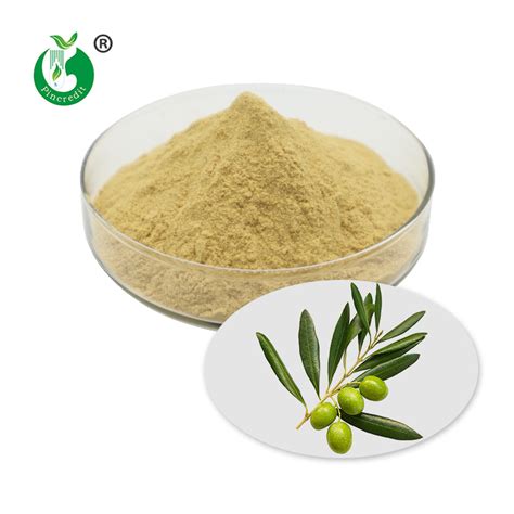 Olive Leaf Extract Oleuropein, Hydroxytyrosol Powder Supplier