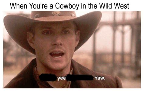 But Did They Really Yee Haw Rhistorymemes