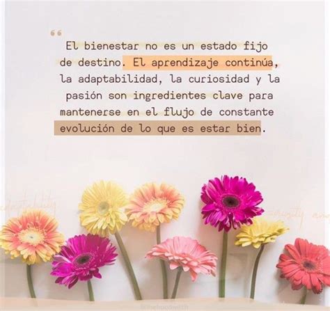 Pin De Luisa Fernanda En Quotes Frases De Exito Frases De