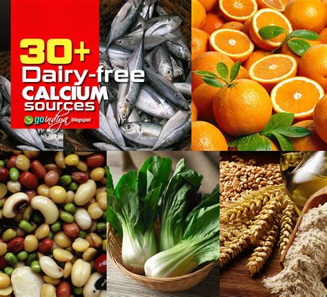surprising  dairy foods high  calcium natural home remedies