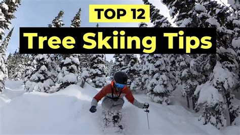 How To Ski Trees Tips To Improve Your Tree Skiing Youtube