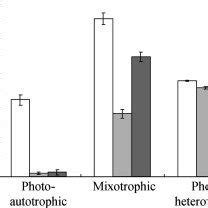 Growth Rate Of Synechocystis Wild Type Strain Empty Bars