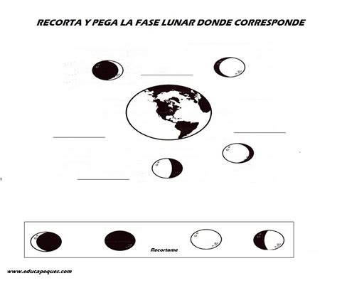 Las Fases De La Luna Para Niños De Primaria Imagui