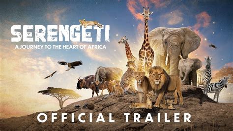 Serengeti - GyanOghenedoro