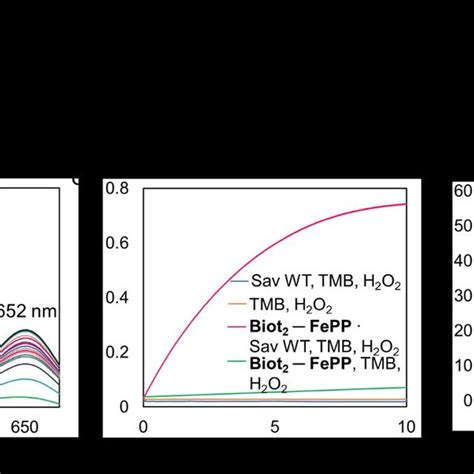 The oxidation of TMB to its one-and two-electron oxidized products, TMB ...