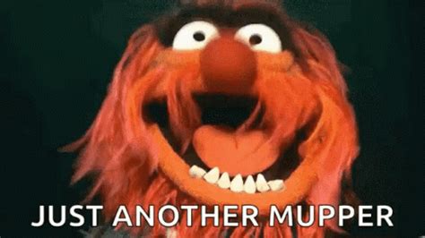 Muppets Animal In Control GIFs | Tenor