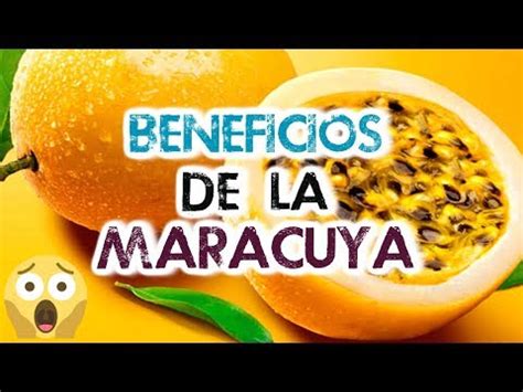 Descubre Todo Sobre Qu Fruta Es Maracuy Origen Propiedades Y Usos