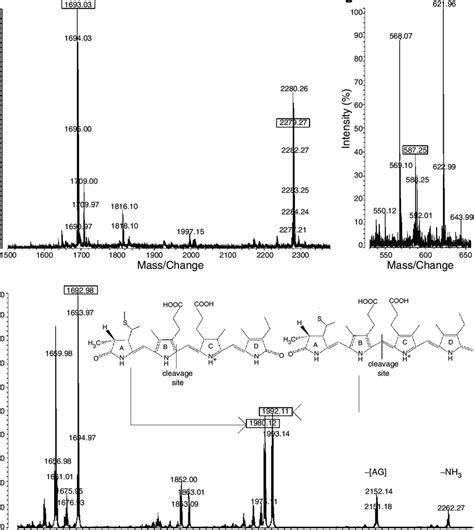 A And B Maldi Tof Ms Spectrum Of The Chromopeptide Collected From