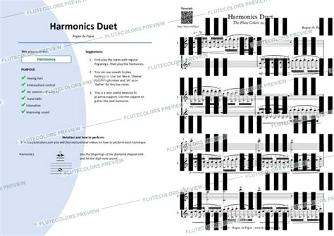 275 De Pijper Harmonics Duet Flutecolors Extended Techniques For